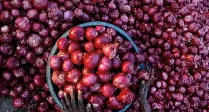 Kanda Expresses Keep Onions From Burning A Hole In People’s Pockets