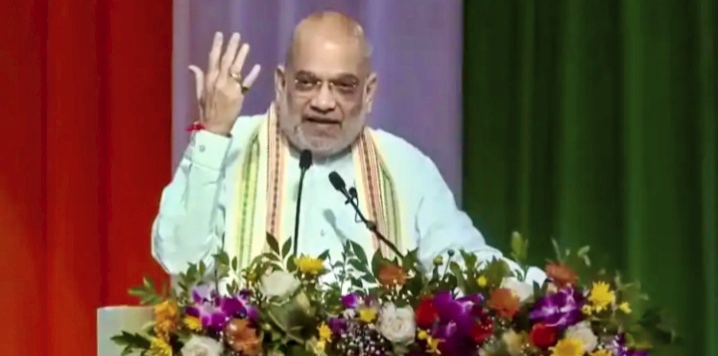 Words From Odia And Other Languages Filled Gaps In Hindi: Amit Shah