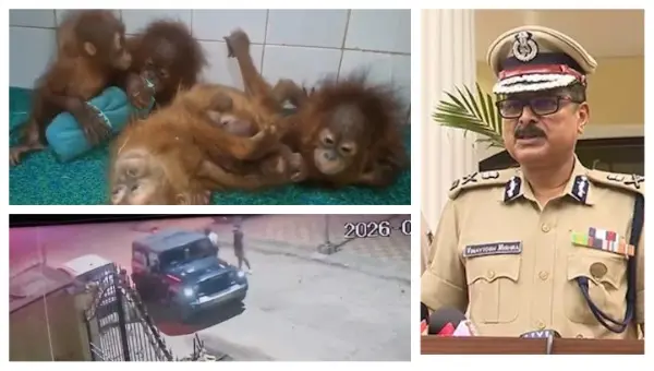 39 Minutes, 22 Km, 4 Boxes: CCTV Trails Black SUV As Odisha STF Intensifies Probe In Orangutan Case
