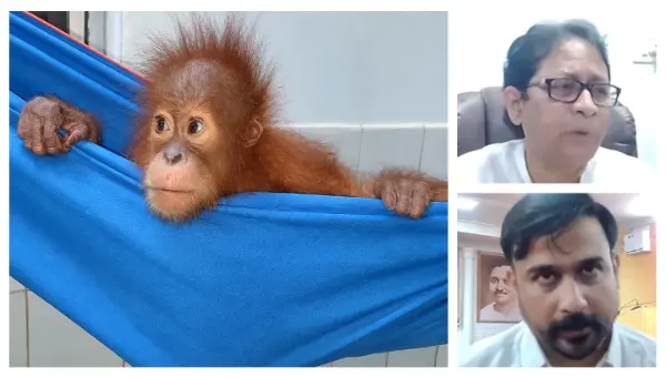 Orangutan Case: BJD Flags National Security Risks Near Odisha Defence Installations