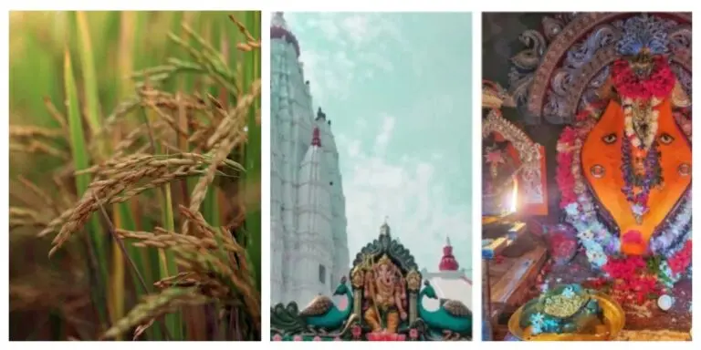 Nuakhai: A Celebration Of Harvest & Heritage