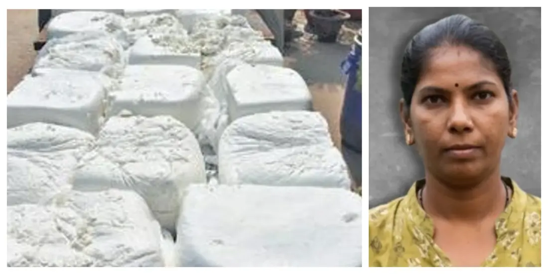 Odisha Transfers Kataka Food Safety Officer In Wake Of Paneer Adulteration