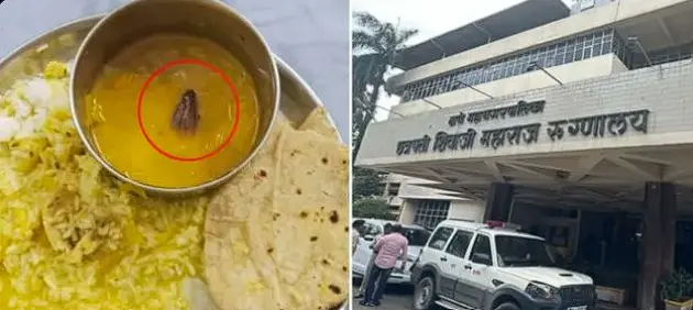 Cockroach In Patient’s Meal Triggers FDA Raid, Shuts Thane Hospital Canteen