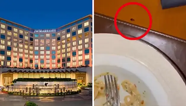 ‘Roachie’ Joins Cardiologist’s Dinner, Sparks Hygiene Concerns At Mumbai JW Marriott