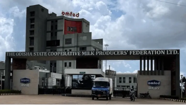 OMFED Hikes Milk Procurement Price By Rs 2 Per Litre