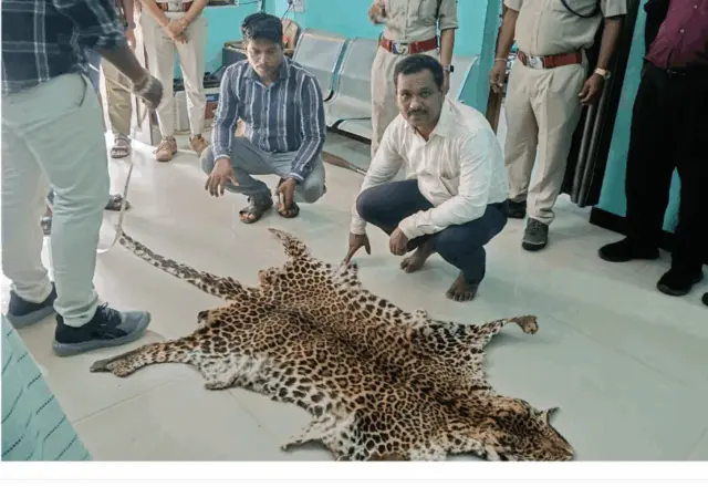 Leopard Skin Seized, Hunter Held By Odisha Vigilance