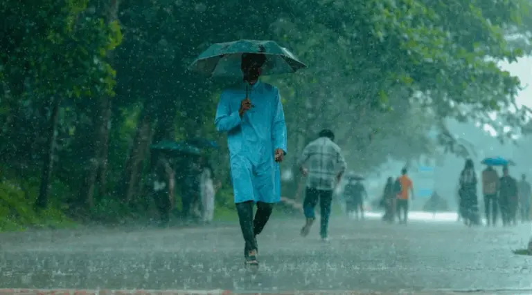 Odisha Rain Fury To Ease From Sunday As Depression Loses Force, 8 Districts On Orange Alert