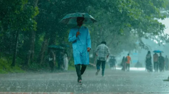 Odisha Rain Fury To Ease From Sunday As Depression Loses Force, 8 Districts On Orange Alert