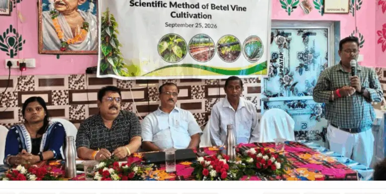 Tata Steel Foundation Facilitates Workshop On Scientific Betel Vine Cultivation In Odisha’s Dagara