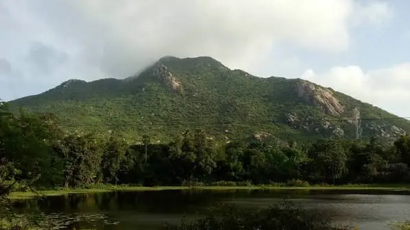 NHRC Seeks Odisha DM’s Report On ‘Stone Quarrying’ In Simlipal Foothills