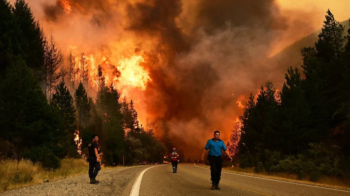 Wildfires