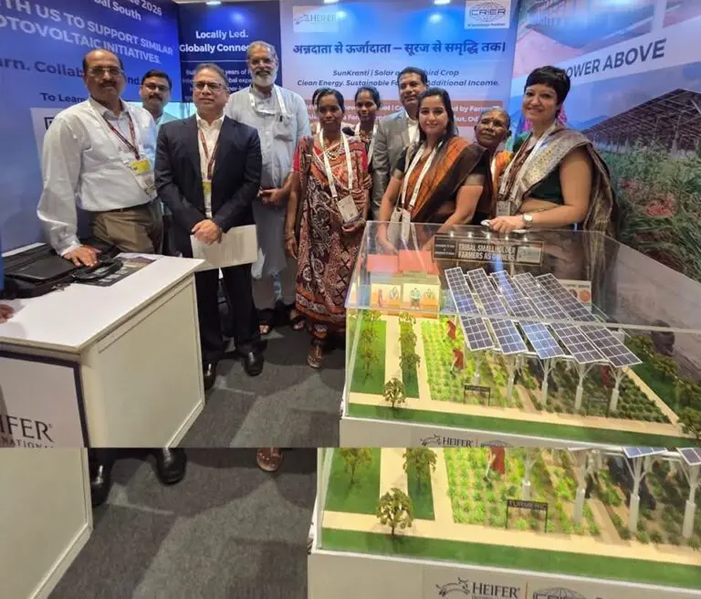 One Field, Two Harvests: Odisha To Roll Out India’s First Dedicated Agrivoltaics Policy