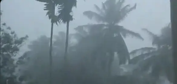 Cyclone Arnab Makes Early Landfall Near Yanam; Southern Odisha Braces For Heavy Rain