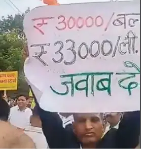 Activist Branded ‘Nuisance’ By MP Minister For Raising Questions On Rs 30,000 Bulb, Rs 33,000 Phenyl