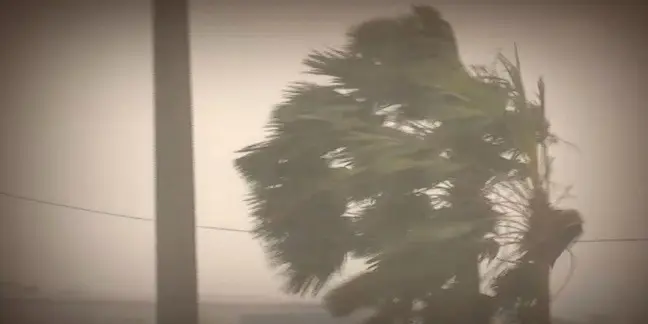 Cyclone Arnab Track Emerges; Peak Rainfall Impact In Odisha On Oct 28, 5 Districts Under Red Alert