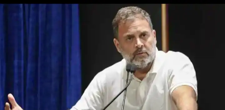 Hosting Foreign Dignitaries Outside New Delhi Established Practice: MEA On Rahul Jibe