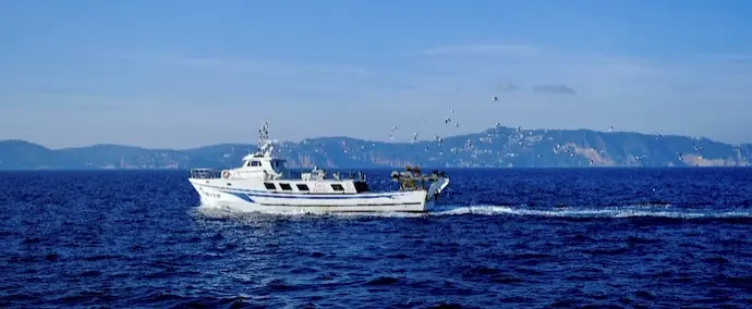 Houthis Claim They Rescued 14 Indians From Yacht Attacked By Saudis