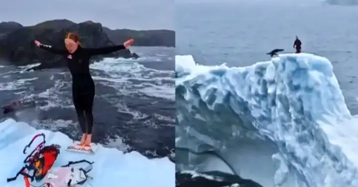 Canadian Diver Becomes First Woman To Dive Off Iceberg