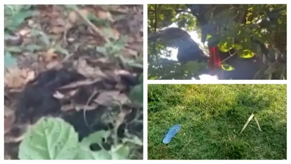 Missing Odisha Girl’s Decomposed Body Found In Forest After 7 Days, Prime Suspect Arrested