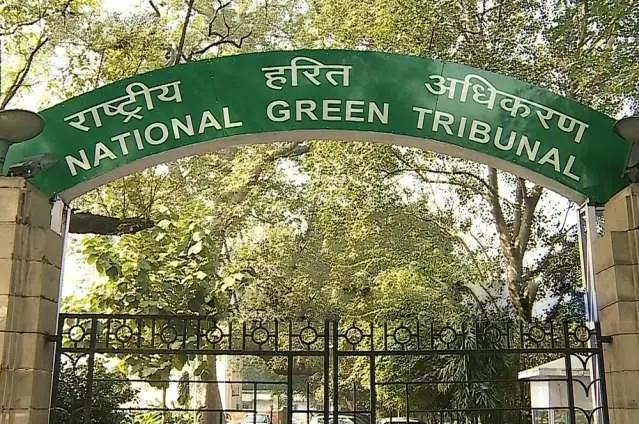 Green Tribunal Glare On ‘Illegal’ Resort On Odisha Forest Land