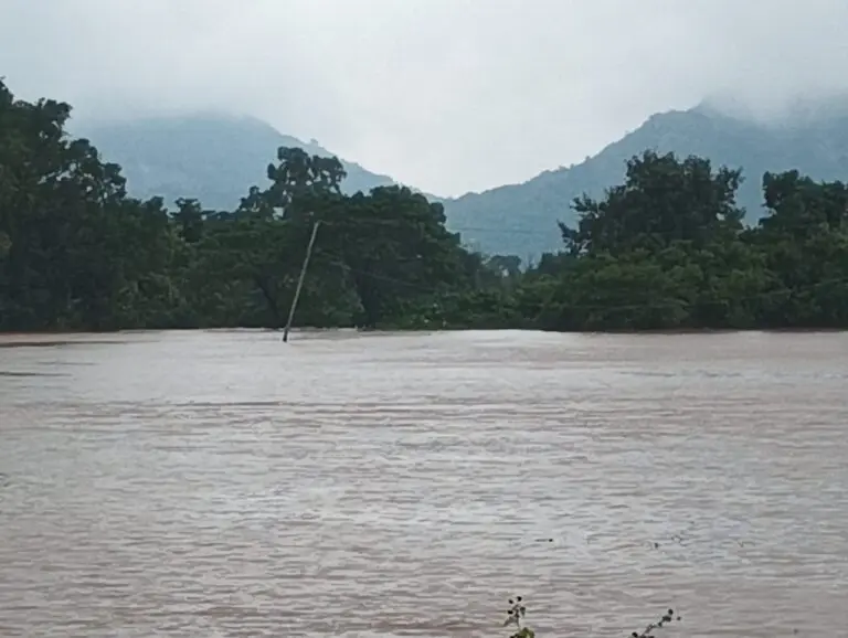 Odisha flood