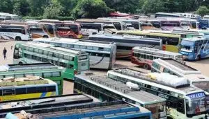 Odisha private buses