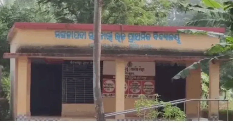 Midday Meal Rice Stolen From Odisha School In Midnight Heist