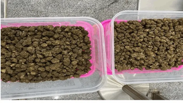 Marijuana Worth Rs 2 Cr Seized At Bhubaneswar Airport, 3 Held