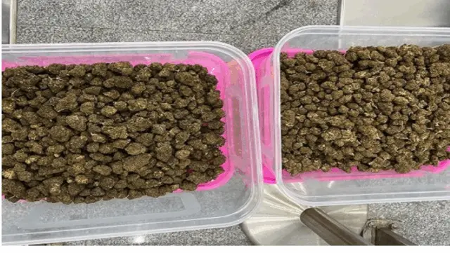 Marijuana Worth Rs 3 Cr Seized At Bhubaneswar Airport, 3 Held