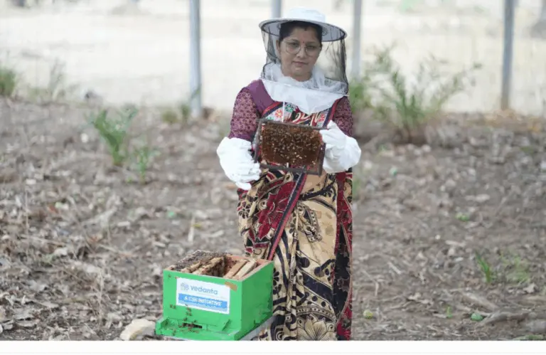 From Beehives To Better Livelihoods: VAML’s Vedamrit Empowers Rural Farmers In Jharsuguda