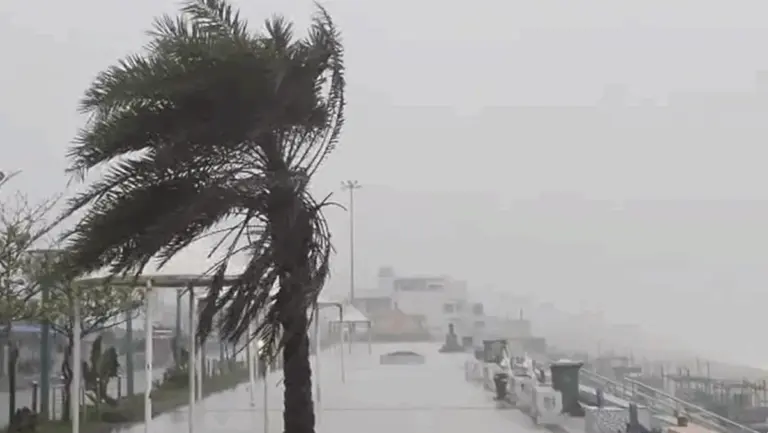Cyclone Arnab Weakens After Landfall; Flash Flood Fear Looms Over South Odisha Amid Heavy Rain, Gail Winds