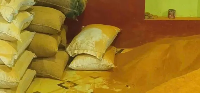 3K Kg Of Adulterated Turmeric, Chilli Powder Seized During Raid At 2 Units in Odisha’s Brahmapur