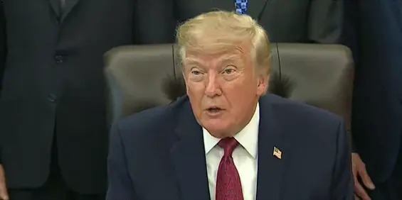 Pilot, Plumber Among Passengers Helped Avert Flydubai Crash, Says Trump