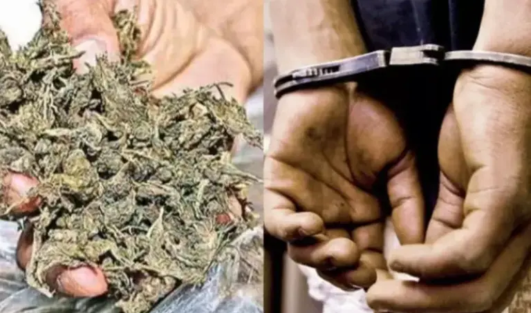 Odisha Ganja Finds Highway Through Chhattisgarh District To North, West India